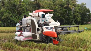 SANGAT CEPAT!! MESIN PANEN PADI KUBOTA DC 70 PLUS DI LAHAN BASAH  || TRAKTOR SAWAH screenshot 3