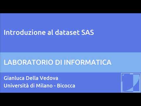 Video: Che cos'è un set di dati SAS?