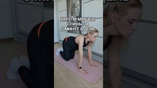 Комплекс упражнений на спину #здоровье #тренеронлайн #упражнениянаспину #тренировканаспину #ташкент