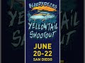 Yellowtail Shootout 2025