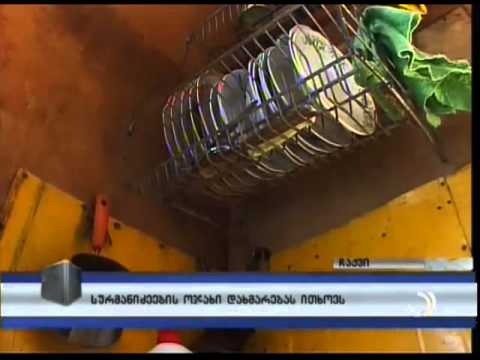 სურმანიძეების ოჯახი დახმარებას ითხოვს