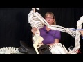 How to Ride Posting Trot... the Skeletal View