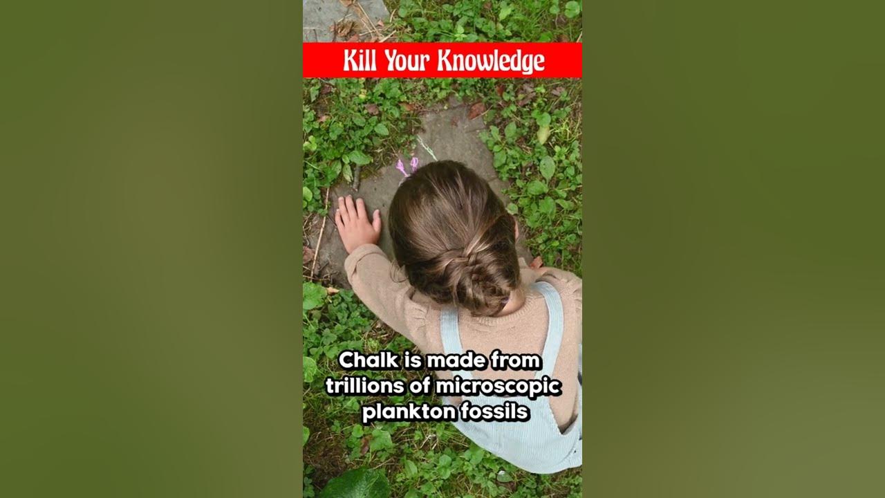 Coccolithophores