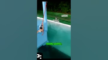 Deadly Obstacle Course Challenge: Can Mac Complete It and Win $800,000?