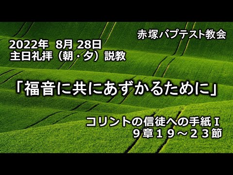 2022年8月28日(日)（朝・夕）赤塚教会礼拝説教「福音に共にあずかるために」コリントの信徒への手紙Ⅰ 9章19～23節