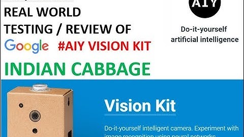Real world Testing of Google AIY Vision Kit – Indian Cabbage