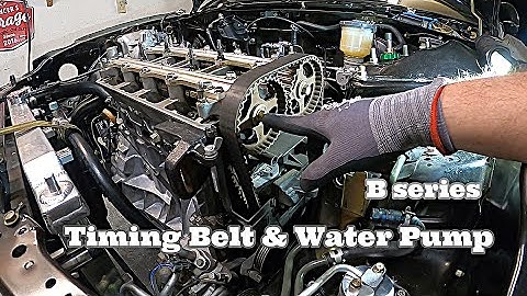 Timing Belt & Water Pump | 