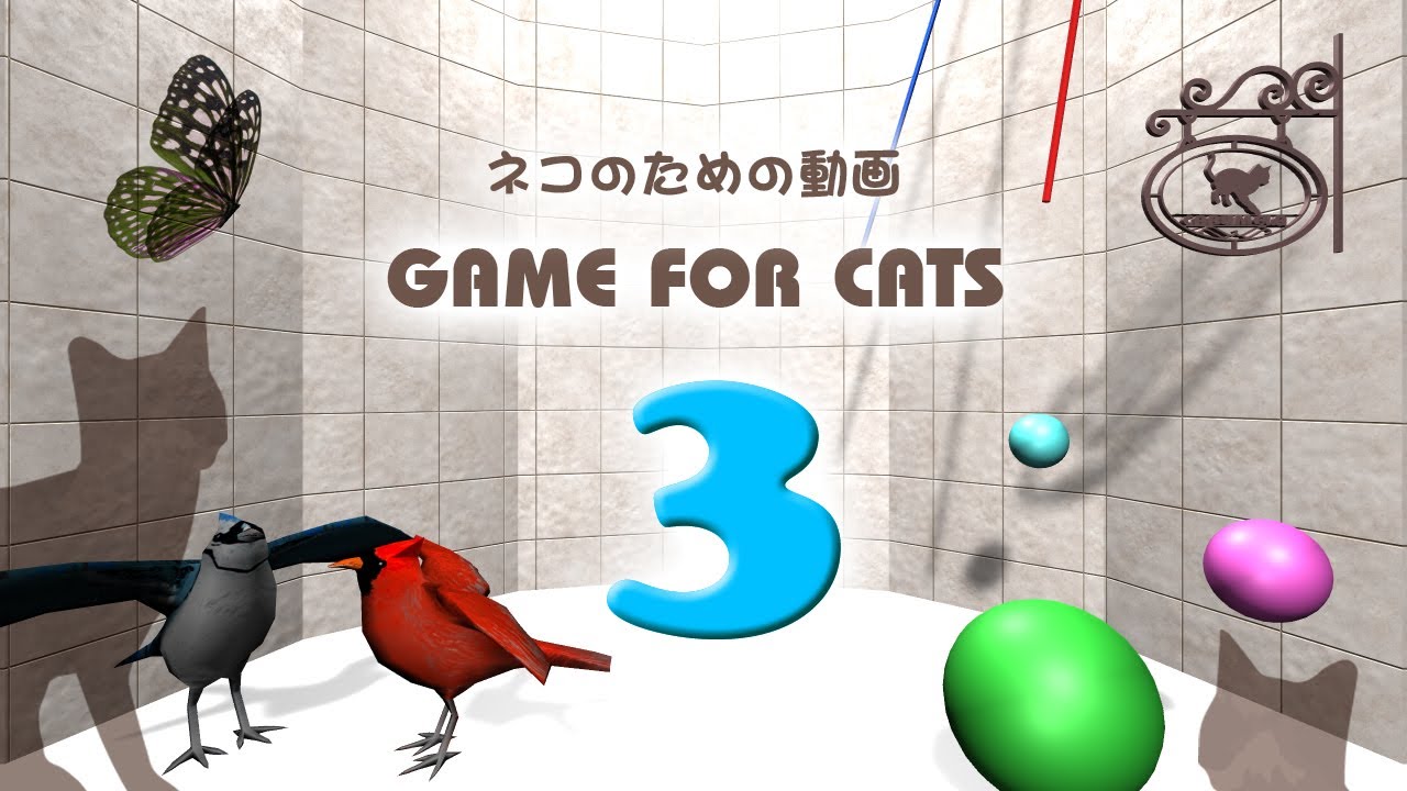 猫用動画MIX3】ボール・鳥・蝶など30分 GAME FOR CATS 3 - YouTube
