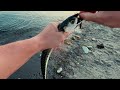 Shore Fishing - Spinning for Mackerel Nova Scotia, Canada