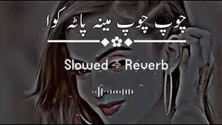 Mena pata kawa | Pashtu song || Slow + reverb || Resimi