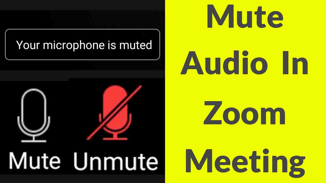 how to mute a zoom meeting