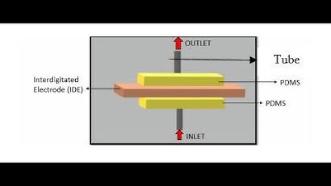 Impedance Based Sensor for E coli Detections in Water  | #finalyearprojects 2020