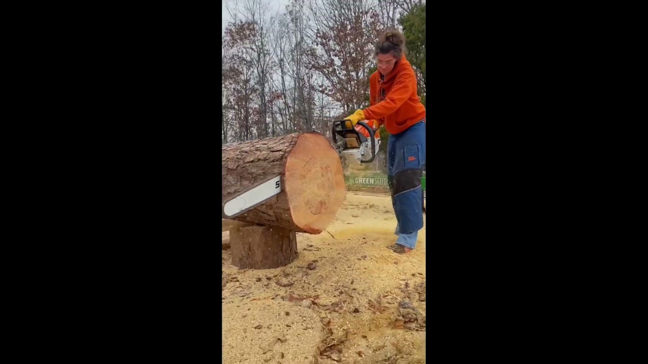 STIHL MS 881 World S LARGEST Chainsaw Shorts Countrylife Homestead Woodworking Stihl