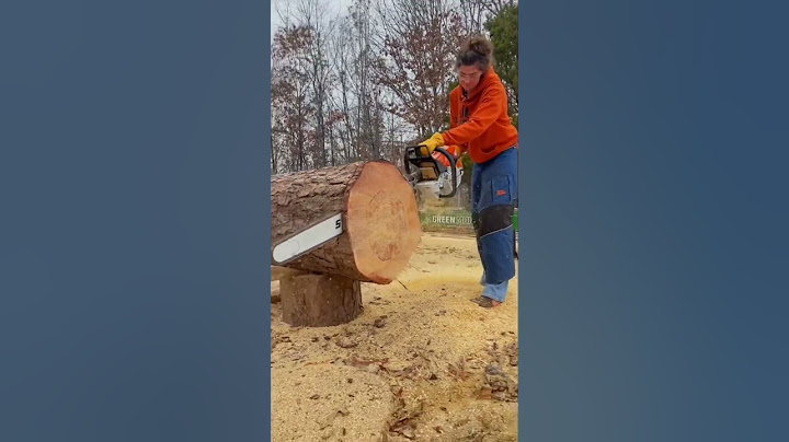 STIHL MS 881 World’s LARGEST Chainsaw #shorts #countrylife #homestead #woodworking #stihl #chainsaw