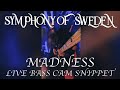 SYMPHONY OF SWEDEN - MADNESS (LIVE BASS CAM SNIPPET)