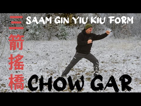 Saam Gin Yin Kiu Form Chow Gar Mini Academy
