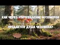 Как через употребление мухоморов продается душа человека?