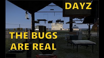 The Bugs Are Real! DayZ