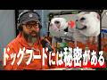 【動画Podcast】ドッグフードはどのように選ぶのか