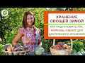 Как правильно хранить  овощи зимой//сбор, подготовка и закладка на хранение