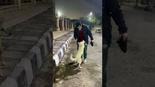 Cookie and sheru funny videos shorts dog viral trending