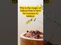 Growth Timelapse That Makes Nature Look Like a Magical World #farm #mushroomgrowing #mushroom