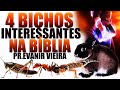 Estes 4 bichos vão te ensinar a ser mais abençoado! Pastor Evanir Vieira