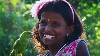 பச்சைக்கிளியே வா வா