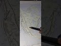 Exploring The Great Plains Geography Of North America