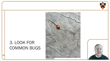 COS 217 Fall 2020 Lecture11 - Debugging