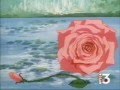 زهرة الجبل لحظات طفولتنا 