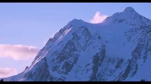 Resilient Sea - Official Trailer