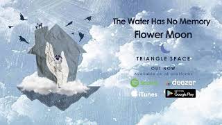 Triangle Space - " Flower Moon" ( 2020)