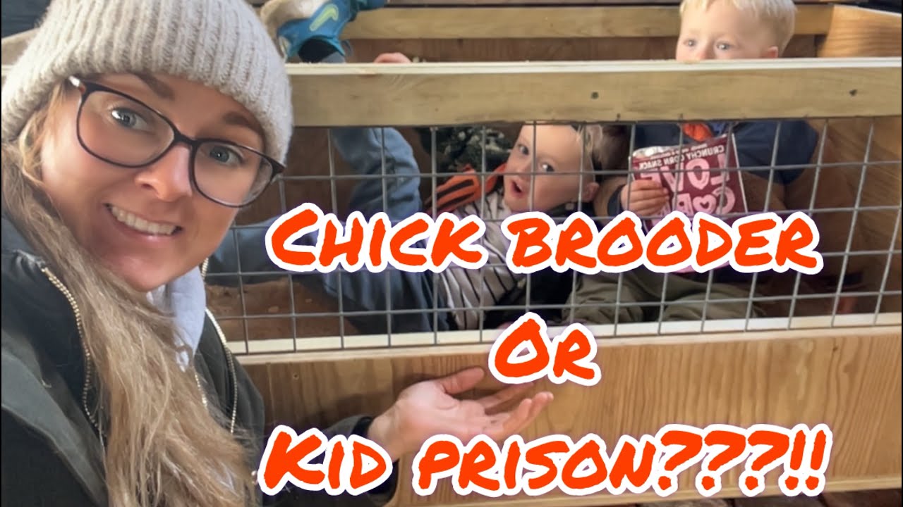 Building A Chick Brooder | Kid Jail | Self Sufficiency Journey - YouTube