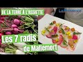 Ref:vlHFmVPWp3U De la terre  l assiette #9 : les sept radis de mallemort en carpaccio par nicolas bottero
