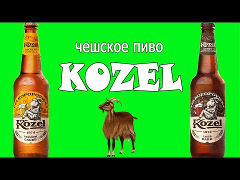 Kozel Premium Lager и Dark. Чешское пиво Козел в 2024 году.