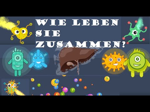 Der Viren-Check | Reportage für Kinder | Checker Tobi