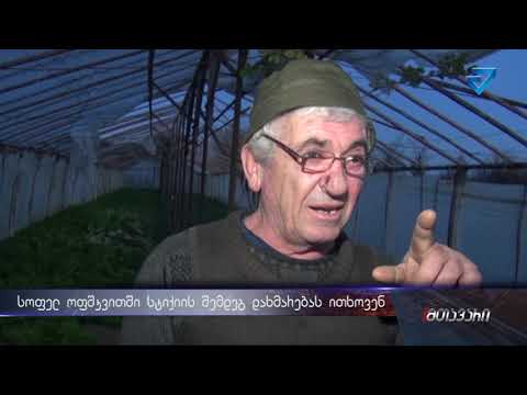 სოფელ ოფშკვიტში ძლიერი ქარის შემდეგ დახმარებას ითხოვენ