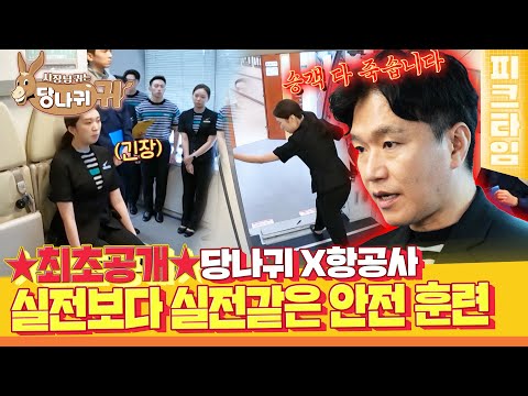 [#피크타임] 비상 탈출부터 난동 승객 제압 훈련까지🚨 <strong>실전처럼</strong> 숨 막히는 항공사 정기 훈련 | #사장님귀는당나귀귀 | KBS 220911 방송