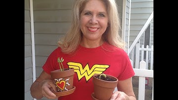 E Squared Experiment 6 - The Superhero Principle