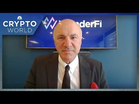 Read more about the article Kevin O’Leary on why the crash could benefit crypto businesses in the long term – CNBC Television