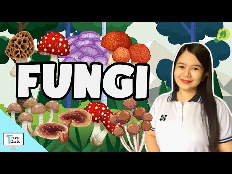 Fungi | Biology