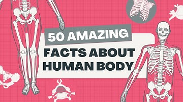 50 Mind Blowing Facts About the Human Body You Never Knew!