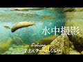 強烈！！！水中ヒットシーン連発！！2020年渓流釣り　渓流ルアーフィッシング