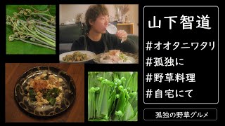 山下智道の「孤独の野草グルメ」＃5オオタニワタリの豆腐チャンプルー