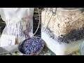 How to Make Lavender Oatmeal Bath Tea
