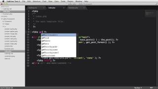 Guide to Your First WordPress Framework: Introduction