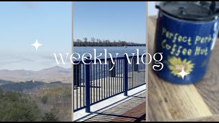 vlog: target & food lion haul, winning a mug, + mountain airbnb tour