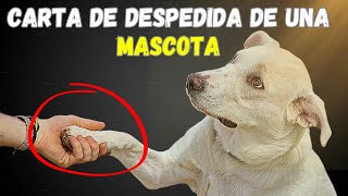 EL ADIOS  DE UNA MASCOTA 🐾 Como superar la Muerte de tu Perro - Gato by Mascotas Sanas Y Felices 296 views 1 month ago 2 minutes, 50 seconds