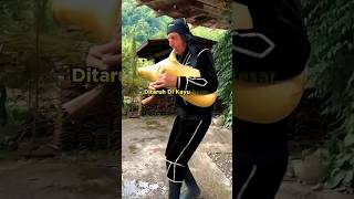 Download Lagu Pembuatan Wine Anggur Tradisional Berusia 8000 Tahun #shorts MP3